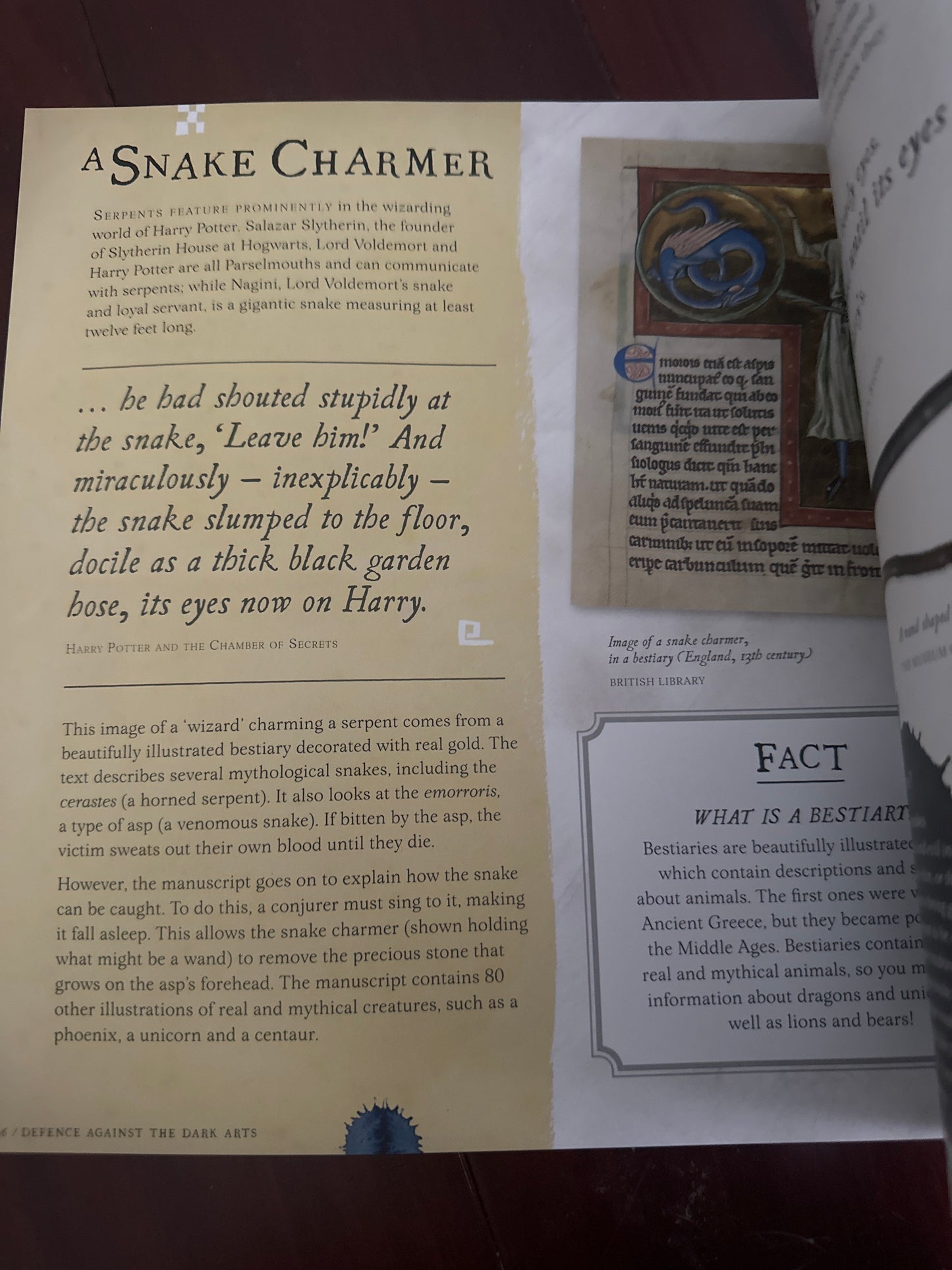 Illustration of a snake charmer from a medieval bestiary.