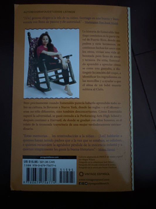 Woman sitting in a rocking chair on book cover back.