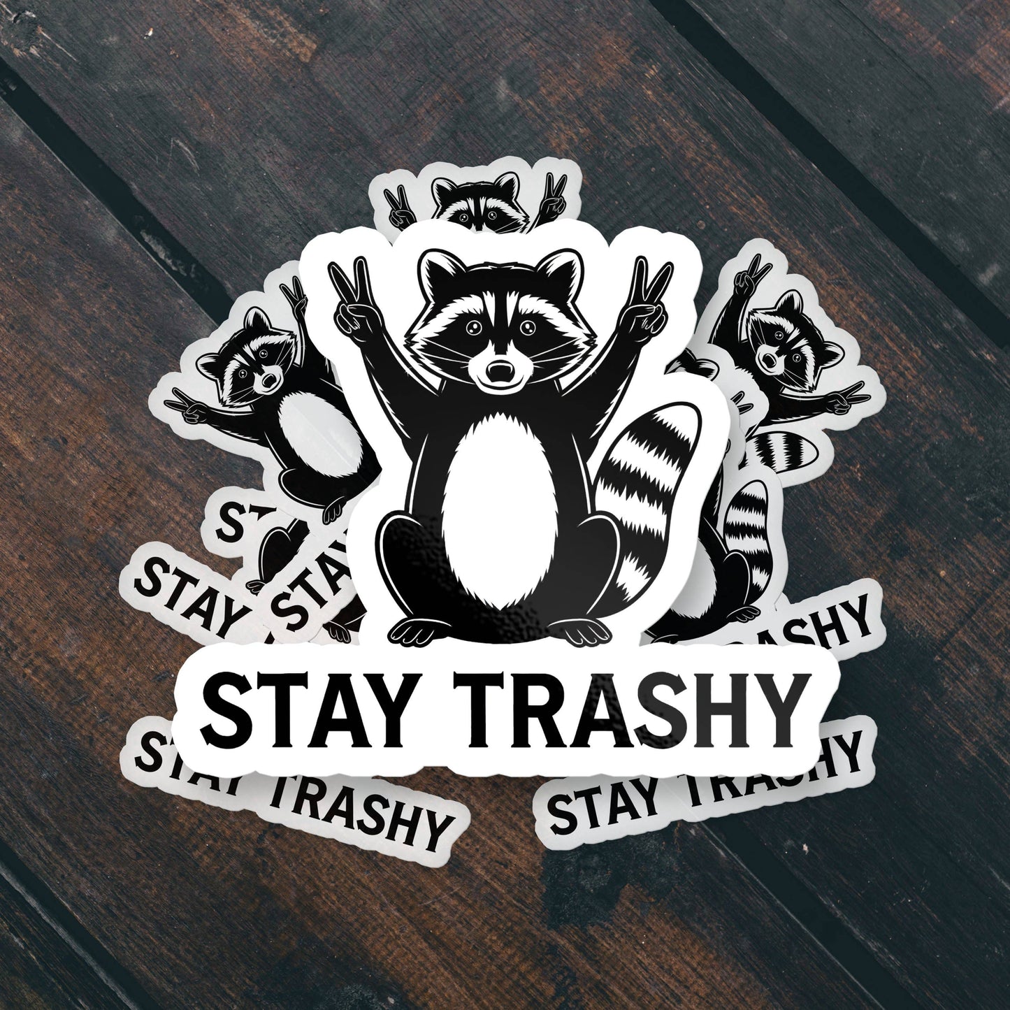 Stay Trashy Raccoon Funny Cute Vinyl Waterproof Sticker