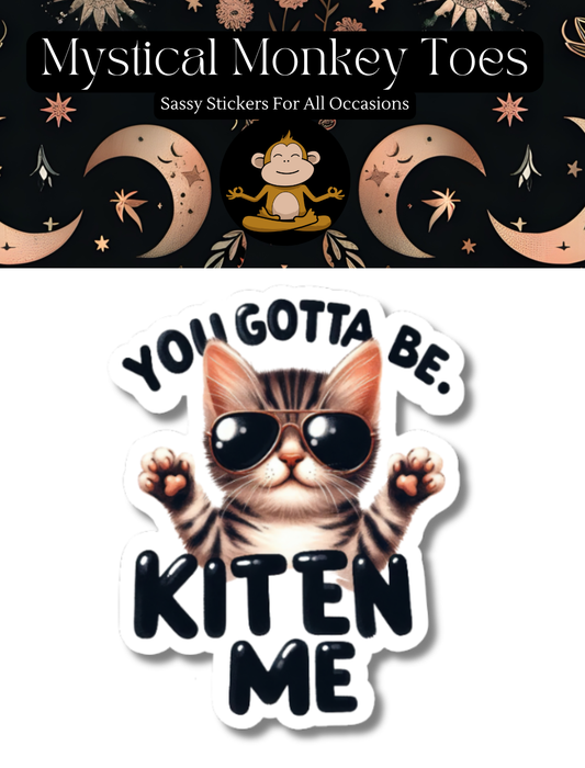 Cute cat sticker with sunglasses and YOU GOTTA BE KITEN ME text.